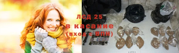 прущие грибы Арсеньев