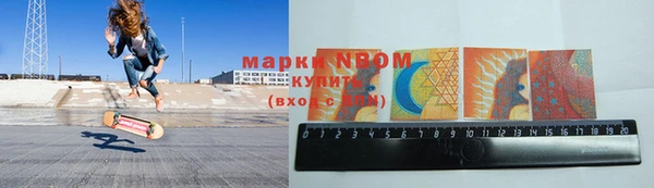 прущие грибы Арсеньев