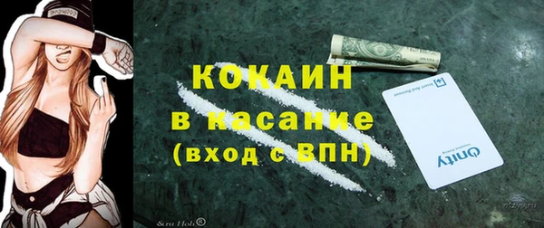прущие грибы Арсеньев