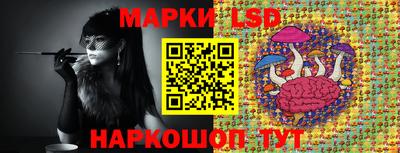 mdma Гатчина
