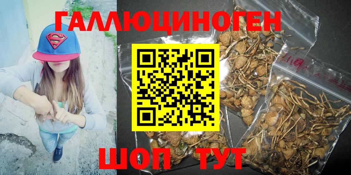 Псилоцибиновые грибы мицелий Рыбинск